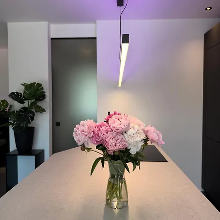 Apartment Stilvolles Premium